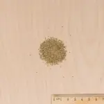 Fleurs - Pâquerette Tapis Varié - MEDIA_3D